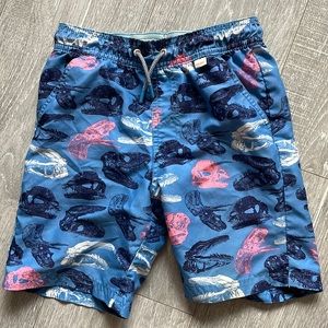 Boys Dinosaur Swim Trunks
